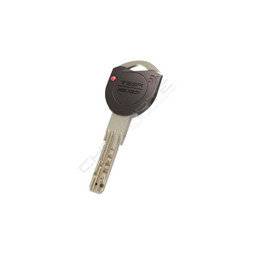 Chave especial Tesa original TK100 (pedido à fábrica por cartão)