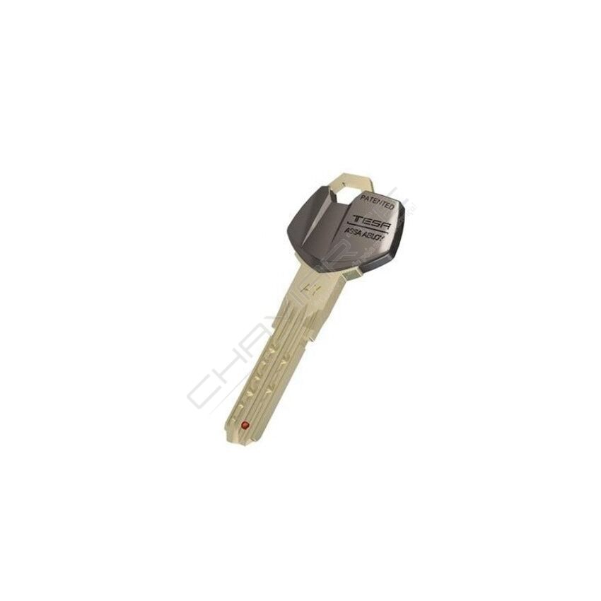 Chave especial TESA original ST8 perfil BX (pedido à fábrica por cartão)
