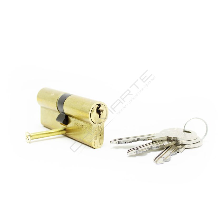 Cilindro Tesa TK6 30x35mm latonado