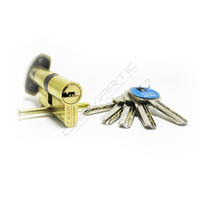 Cilindro Tesa T60 de botão 30x60mm latonado