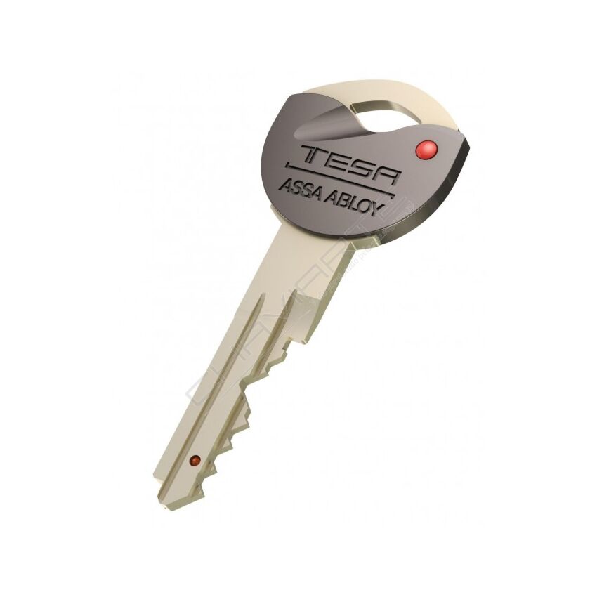 Chave especial Tesa / Chaviarte original TK6 - K61 (pedido à sede por cartão)
