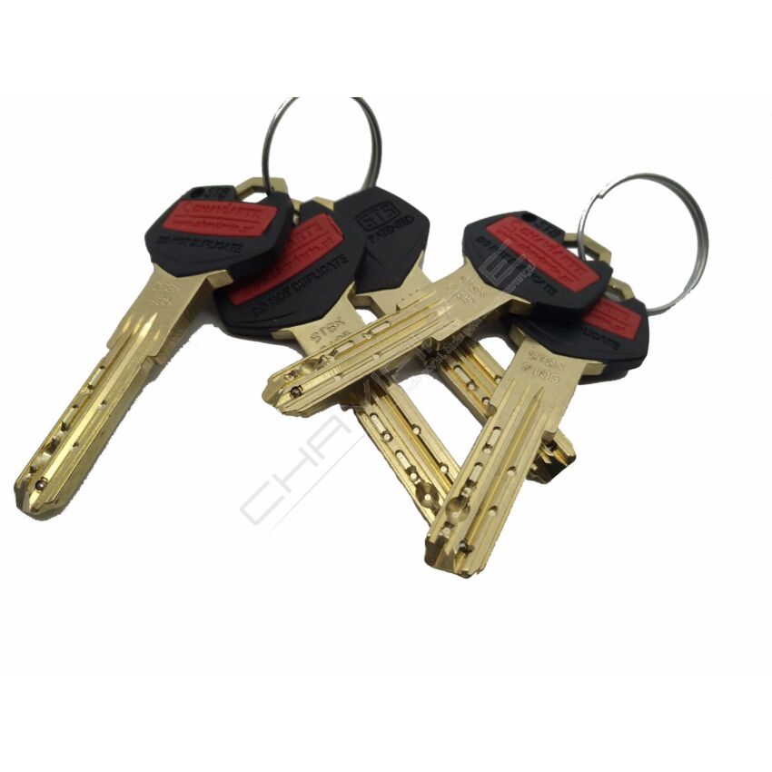Cilindro ST8 Chaviarte modular latonado