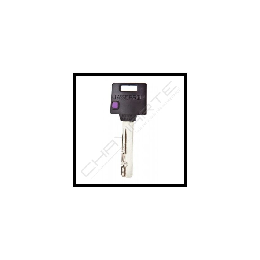 Chave especial Mul-T-Lock 3828 (pedido à fábrica p/ cartão)