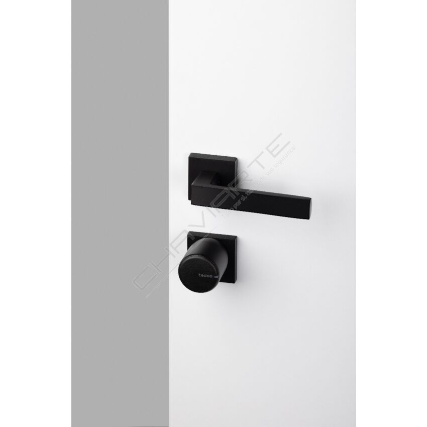 Tedee Lock TLV1.0B HK (Graphite/Preto)