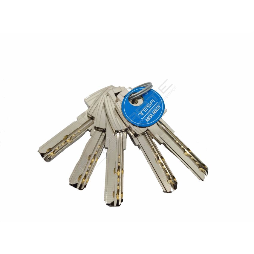 Cilindro Tesa T60 45x10mm niquelado