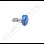 Tampas de parafusos para matrículas azul