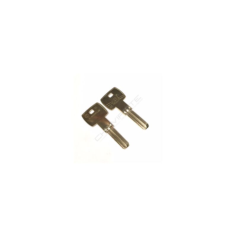 Chave especial STS original CS5 (pedido à sede por cartão)