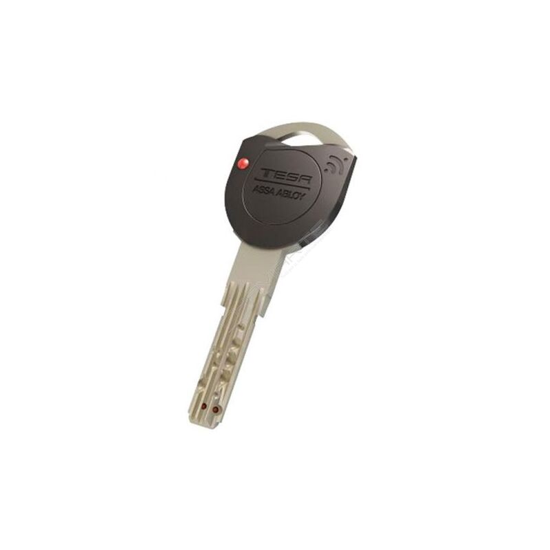Chave especial Tesa original TK100 (pedido à fábrica por cartão)