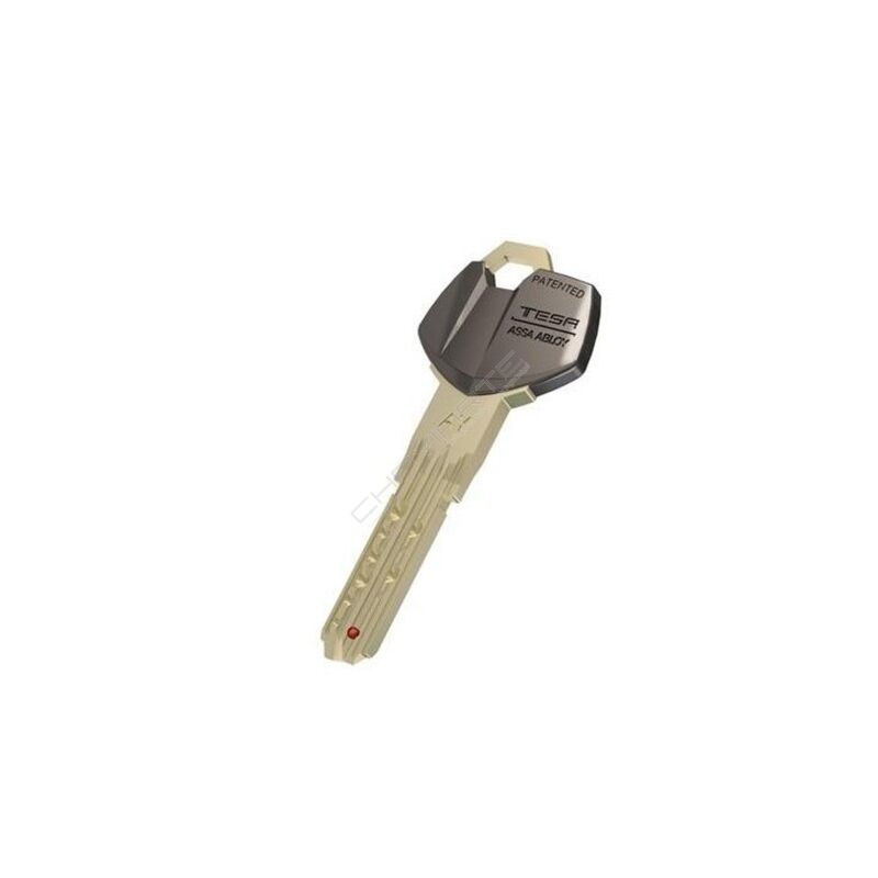 Chave especial TESA original ST8 perfil BX (pedido à fábrica por cartão)