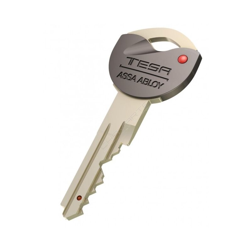Chave especial Tesa Original TK6K1 (pedido à fabrica por cartão)