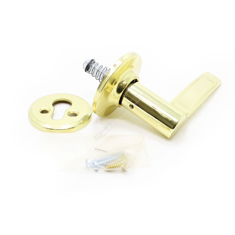 Puxador de muleta Tesa 3534, para porta direita, dourado